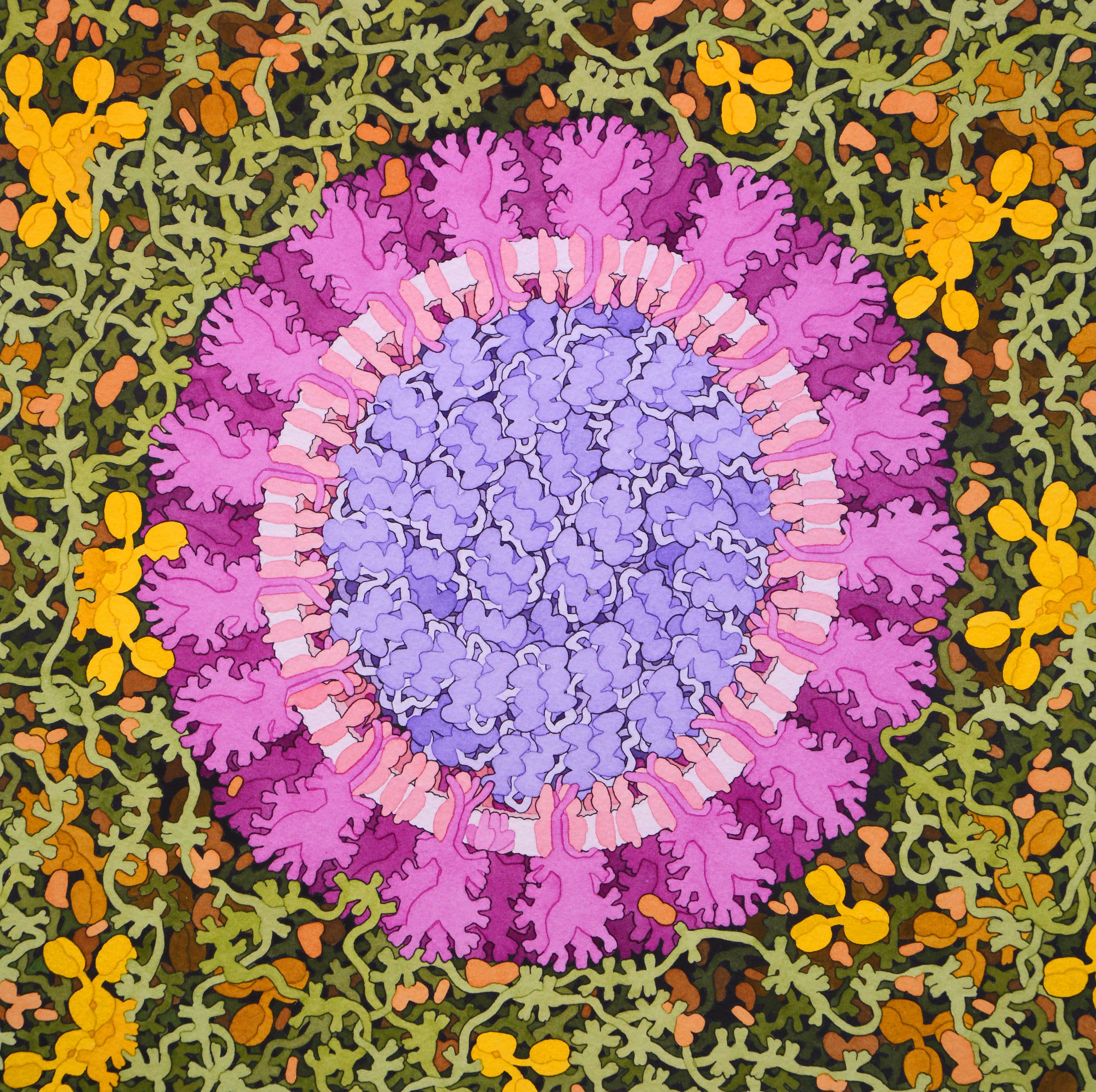 Beautiful, but Deadly: Painting the Coronavirus