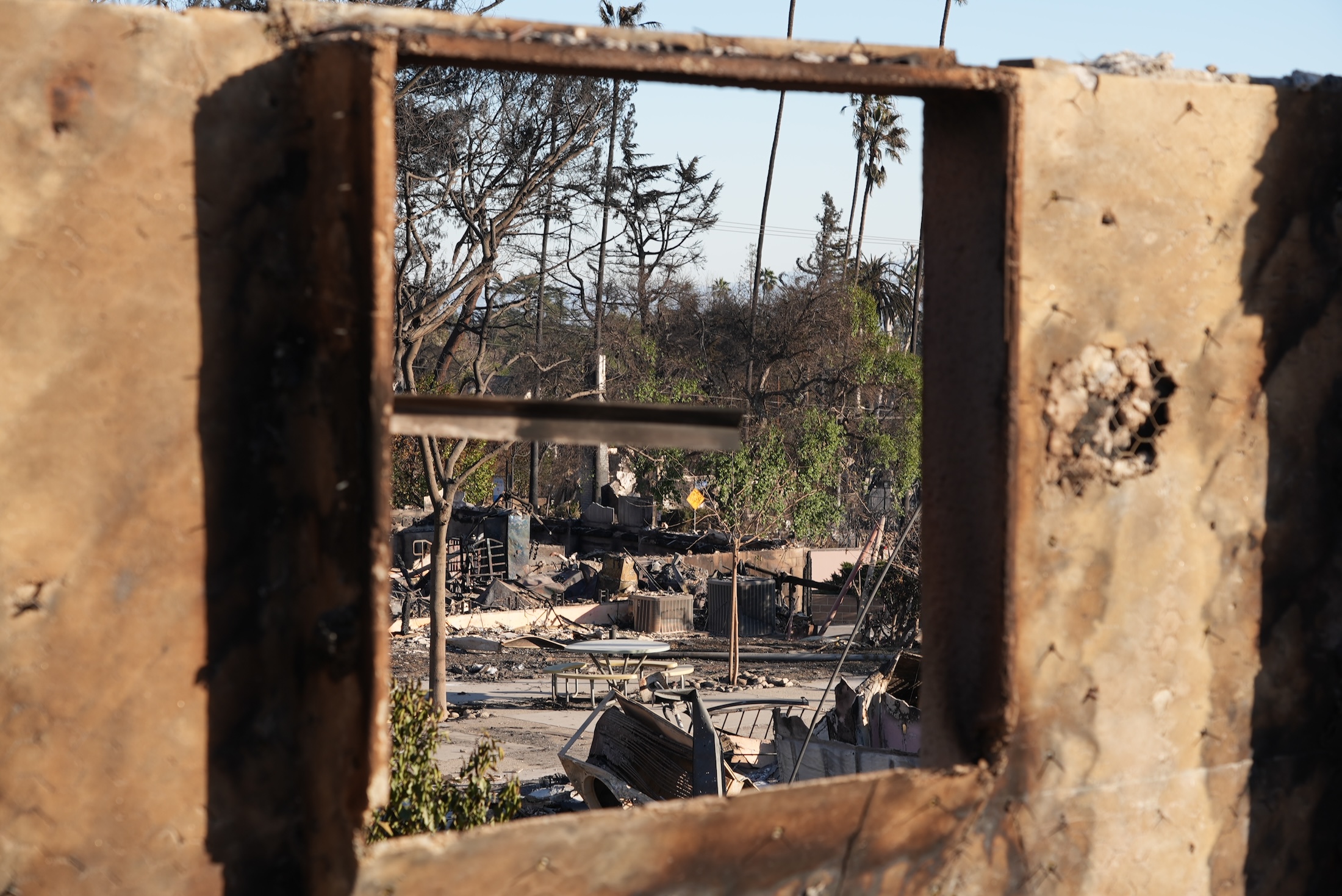 Understanding the Impact of Santa Ana Winds in the Eaton Fire