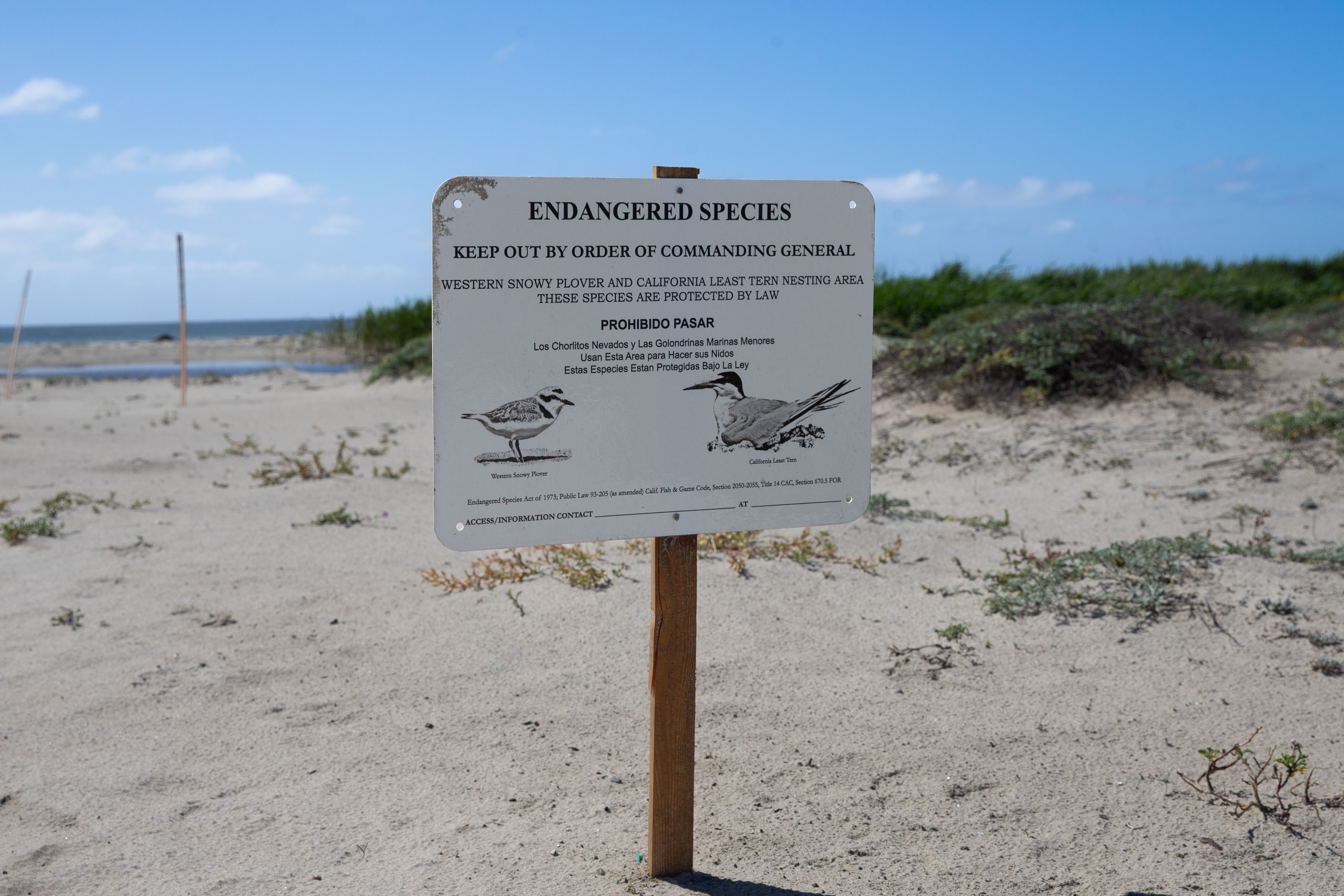 Camp Pendleton’s Wild Landscape as a Natural Refuge