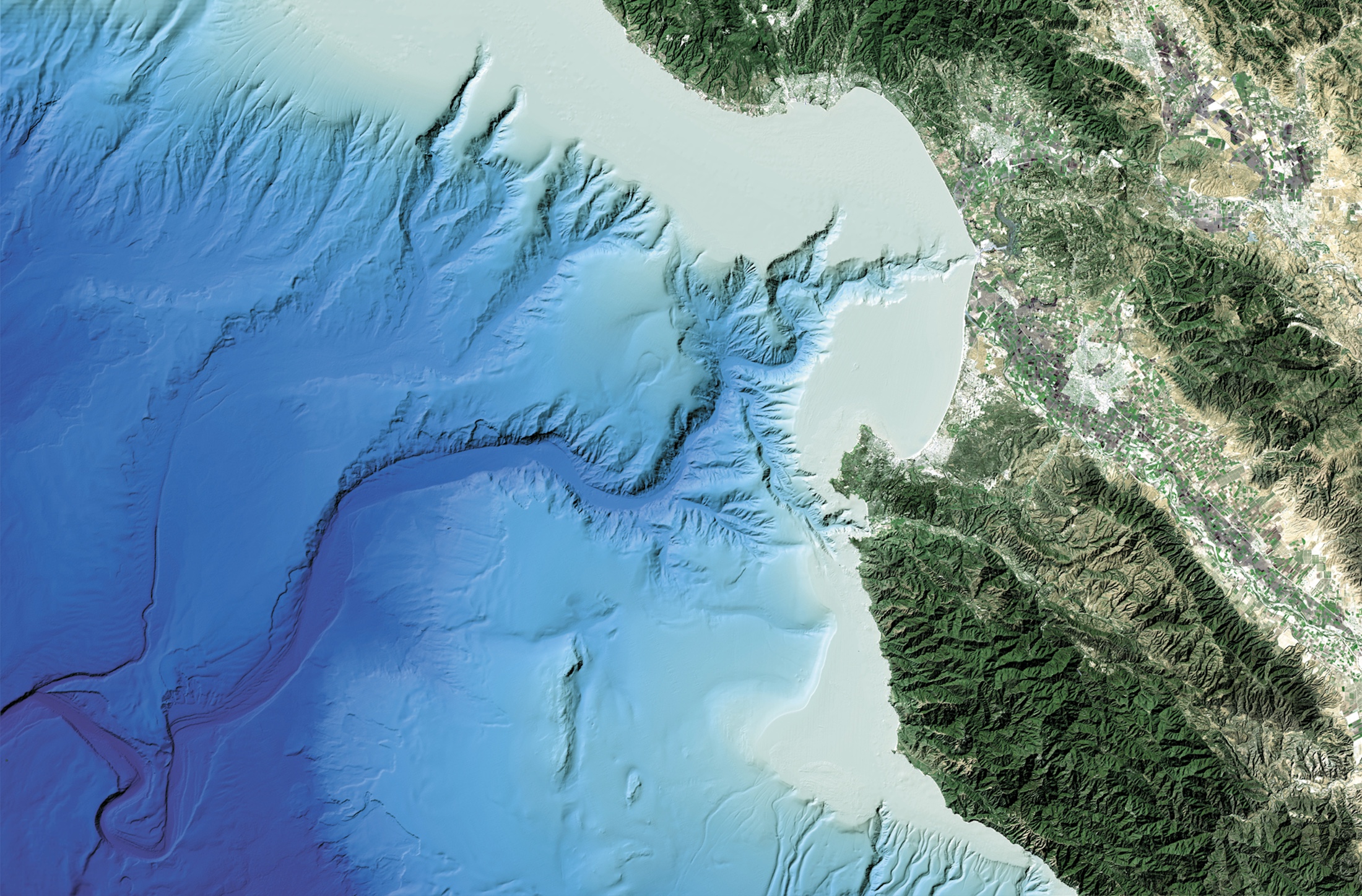 A Deep Dive into Monterey Canyon, California’s Great Abyss