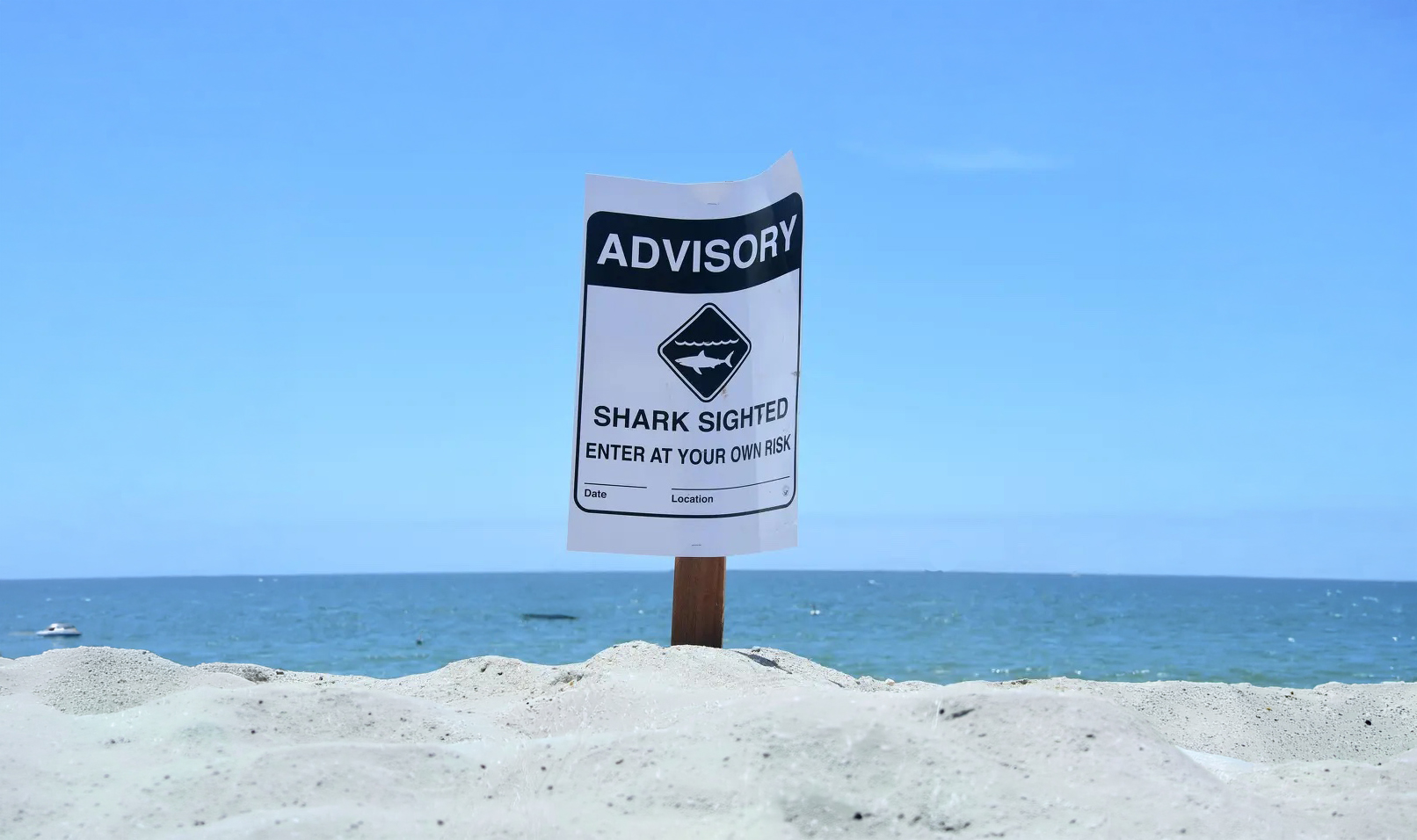 Shark sign California beach (Photo: Erik Olsen)